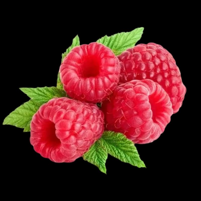 Framboise